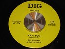 SIR MICHAEL & THE SOUNDS can you LOVE YOUR FELLOW MAN dig RARE FLORIDA GARAGE 45