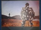 PINK FLOYD ,   ZIMBABWE PRESSING , 2 LP , DELICATE , NM PROMO
