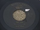 OHIO GARAGE PSYCH 45 - THE HEYWOODS - HEY JOE - QUEEN BEA