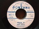 Detroit Michigan Rock 'n' Roll 45- Terry Soggs 