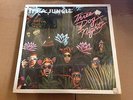 THREE DOG NIGHT it's a jungle 12