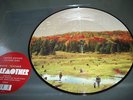 Wolfmother Rare 12