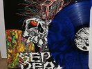 SEPTIC DEATH Somewhere In Time LP BLUE vinyl punk  Pushead Crust DRI Siege