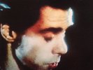 Nick Cave & The Bad Seeds* Your Funeral... * 2x12