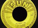 1956 SUN 256 ROCKABILLY RECORD Slim Rhodes featuring Sandy Brooks DO WHAT I DO