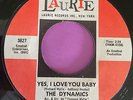 Northern Soul 45 Dynamics- 