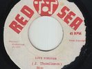 Roots Reggae/Dub 45 - Bim Sherman & The Dynamics - Love Forever - Red Sea - mp3