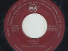 Calypso Rock & Roll 45 - Joey Lewis & Orchestra - Teensville - RCA - mp3