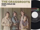 GRASS ROOTS - Baby Hold On - Obscure PICTURE SLEEVE