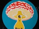 Emtidi Saat LP Pilz LP Pop Import 2029077-8 Psychedelic Vinyl