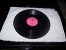 The Packards On Paradise Dream Of Love