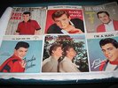 Paul Anka  Frankie Avalon  Fabian  Bobby Darin  Everly Brothers  Neil Sedaka