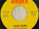 The What-Nots 45 AMBER Look Down RARE GARAGE ROCK LISTEN