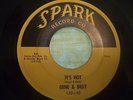 DOO WOP-GENE & BILLY, IT'S HOT / ZERLENE, SPARK RECORDS RARE 45 VG+