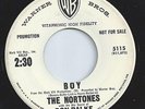 THE NORTONES popcorn BOY northern soul 45