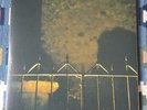 Bass Communion, Ghosts on Magnetic Tape Coloured Vinyl 2LP, Steven Wilson
