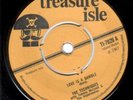 TECHNIQUES - LOVE IS A GAMBLE - TREASURE ISLE