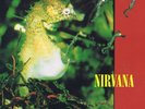 Nirvana – All Apologies / Rape Me / MV 12-inch + Prints Geffen Records ?GFST 66