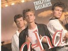 A-HA -The Living Daylights- 1987 CANADIAN 45 with PICTURE SLEEVE  CANADA 