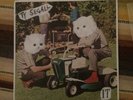 Ty Segall It 7