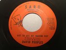 RARE OHIO SOUL FUNK 45/DAVID PEOPLES 