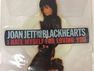 I Hate Myself for Loving You LP Picture Disc Vinyl by Joan Jett Free Shipping