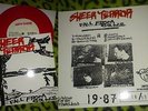 SHEER TERROR / FALL FROM GRACE Demo EP Vinyl oi, punk, madball, slapshot, nyhc