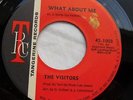 THE VISITORS    WHAT ABOUT ME  .  TANGERINE RECORDS.  
