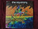 The Aquarians 