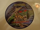 ASSASSIN-INTERSTELLAR EXPERIENCE   PIC-LP(SODOM,KREATOR)