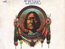 OSAGE TRIBE: PREHISTORIC SOUND - ITALIAN PROG - PFM-BANCO-ORME -  7' - 45