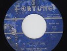 Rockabilly 45 THE TERRIGAN BROTHERS 