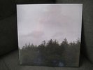 Jesu Infinity LP - Avalanche Recordings ? / Hydra Head Record