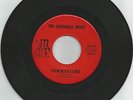 THE ENSENADA REEDS the mexican fly MOD LATIN rare 45 original LISTEN