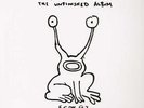 DANIEL JOHNSTON 