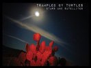 TRAMPLED BY TURTLES-STARS AND SATELLITES (LP)-VINYL LP THIRTY TIG NEW