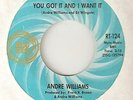 ANDRE WILLIAMS You Got It And I Want It RIC TIC DETROIT  NORTHERN SOUL 45