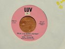 JOEY TEDESCHI & THE IDOLS / TRUE LUV GONE ASTRAY / 1966 RHODE ISLAND GARAGE 45