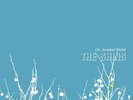 The Shins Oh Inverted World Vinyl New