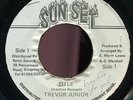 Trevor Junior - Title JA orig Sunset 7
