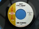 Ann D'andrea - Don't Stop Lookin'  Jamie Records 1352