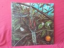 Dragonfly uber-rare acid-psych 1968 1st press Megaphone Excellent condition LP