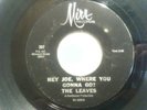 THE LEAVES - hey joe, where you gonna go? / be with you - MIRA