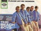 Sg   -   THE BEACH BOYS   -  DO YOU WANNA DANCE   -  CAR COVER