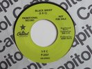 SRC Black Sheep Capitol Promo Michigan Heavy Psych Classic 45 HEAR