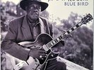Jimmy Rogers Blue Bird Chicago Blues LP 180 Gram Vinyl NM Audiophile Ltd Ed 2819