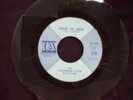 Thirteenth Floor Elevators - You're Gonna Miss Me / Tried To Hide - IA 107 (M-)