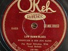 WHISTLER & HIS JUG BAND Vamps of 28 OKEH 8469 RACE BLUES Low Down RARE 10 78 RPM