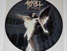 Angel Dust 'Enlighten The Darkness' LTD Ed. Pic LP Picture Disc Vinyl Record NM