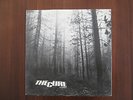 The Cure - A Forest 12